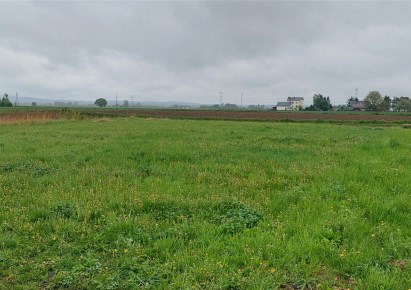 działka na sprzedaż - Zator, Morysina, Szymborskiej