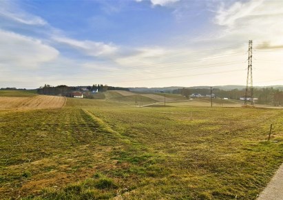 działka na sprzedaż - Polanka Wielka, Pasternik, Wiśniowa
